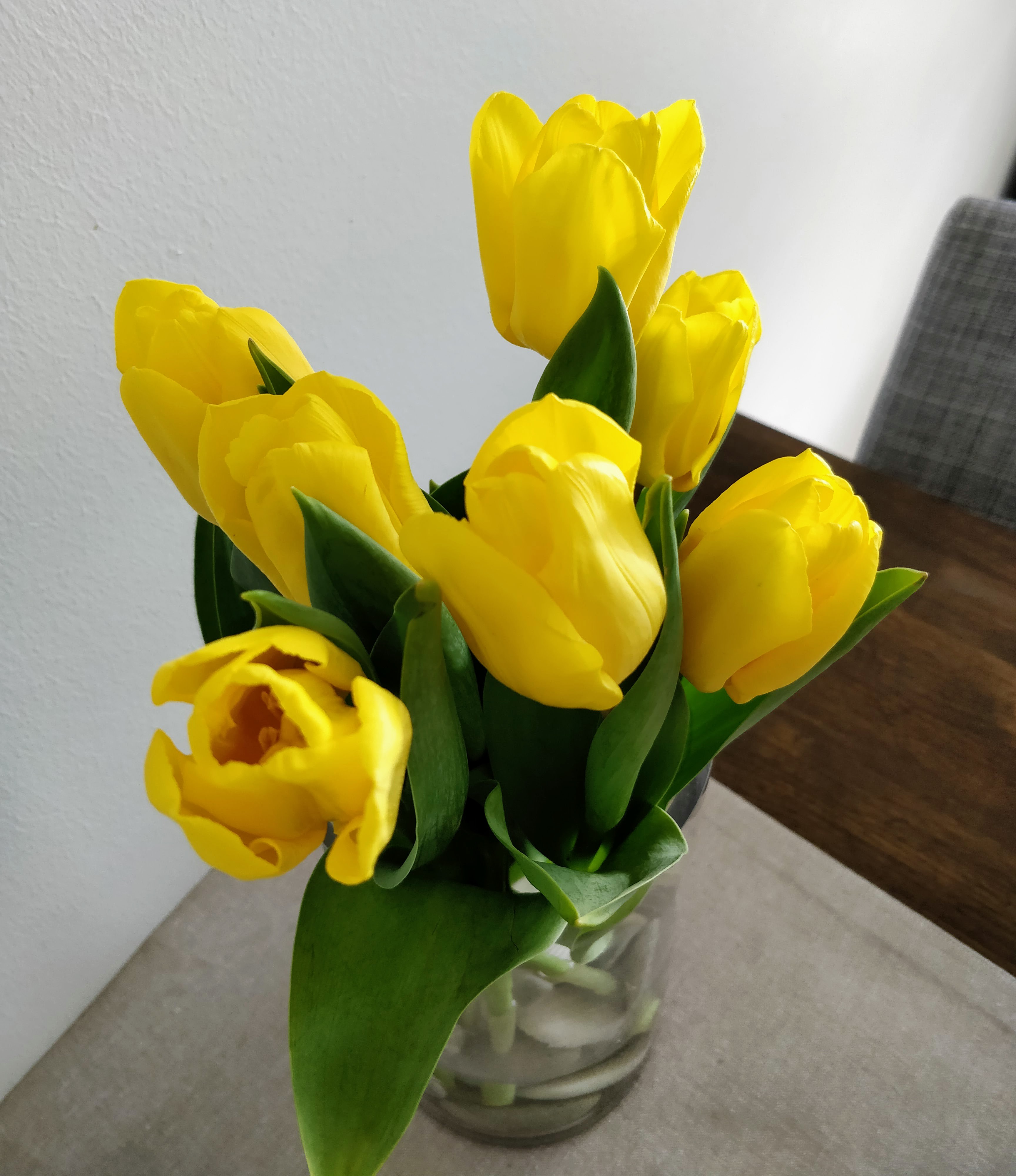 Tulppaanit